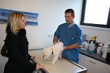 AUSCULTATION 045